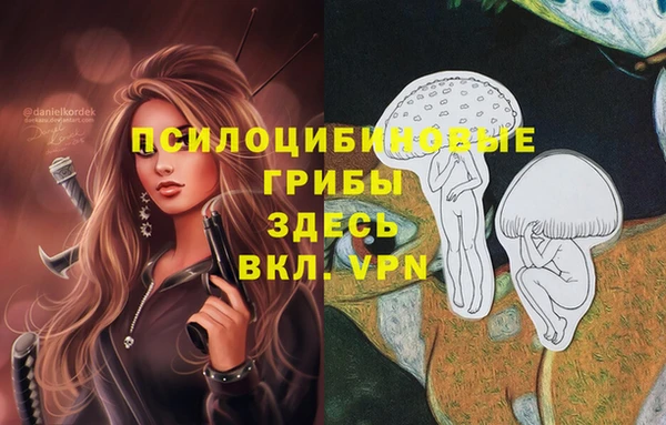 стаф Алексеевка