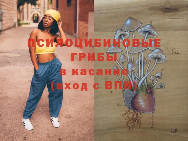 стаф Алексеевка