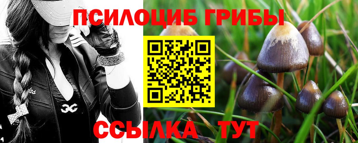 Псилоцибиновые грибы GOLDEN TEACHER  Вход с VPN  Лабытнанги 